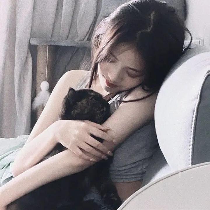 怪兽与邓不利多的秘密